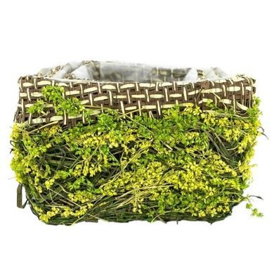 Набор кашпо 3шт 9*19*10см, 15*15*9см, 12*12*8см Forest 3528 С зелеными сухоцветами