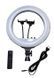 Светодиодная кольцевая лампа Ring Light RL 14 36 см