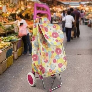 Сумка-візок на коліщатках господарська 307 C Різнокольорова
