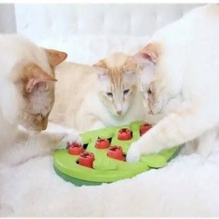 Гра інтерактивна для котів Replace Your Bowl Зелена
