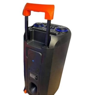 Колонка портативная аккумуляторная USB TF MicroSD Bluetooth Wireless Speaker TTD-2821 Черная