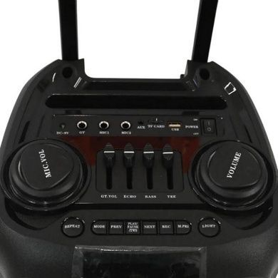 Колонка портативная аккумуляторная USB TF MicroSD Bluetooth Wireless Speaker TTD-2821 Черная