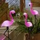 Декор садовый Фламинго 3шт светящиеся на солнечной панели FLAMINGO OUTDOOR SUPERLED Розовые