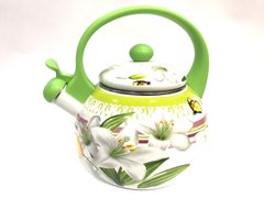 Чайник эмалированный BN-100 Зеленый