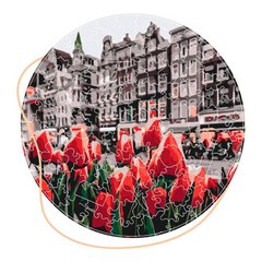 Дерев'яні пазли Тюльпани Амстердама (Розмір L) BP01L