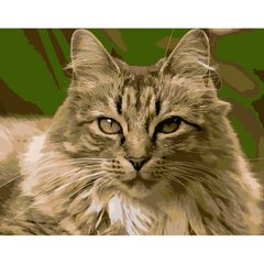 Картина по номерам Strateg ПРЕМИУМ Гордая кошка размером 40х50 см (DY186)