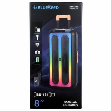 Колонка портативна акумуляторна 3600mAh Bluetooth Wireless Speaker TTD-2820 Чорна