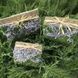 Набір кашпо 3шт 19*19*10см, 15*15*9см, 12*12*8см Forest N-14 З фіолетовими сухоцвітами