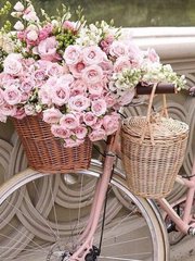 Картина по номерам "Цветы на велосипеде" 40*50 см
