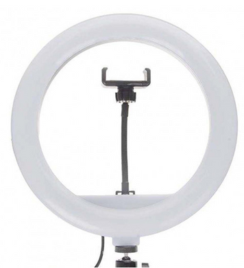 Кольцевая LED лампа для фотосъемки JY-300 30 см