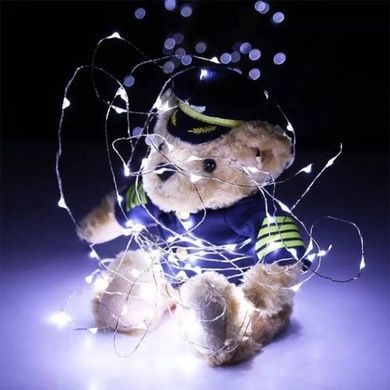 Гірлянда Роса срібний дріт USB з пультом д/в 40м 400LED Білий