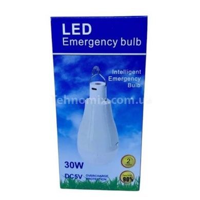 Лампа акумуляторна 30W Usb з гачком на 2 акумулятори Біла
