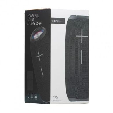 Колонка Hopestar P21 Чорна