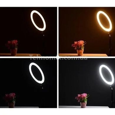 Кольцевая лампа для селфи QX-360 36 см 3 крепежа Ring Fill Light