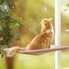 Лежанка для кішок на вікно з присосками Window Mounted Cat Bed Бежева