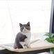 Лежанка для кішок на вікно з присосками Window Mounted Cat Bed Бежева