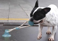 Игрушка для собак канат на присоске с мячом