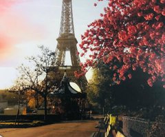 Картина за номерами Y 5526 "Осінь в Парижі" 40 * 50см