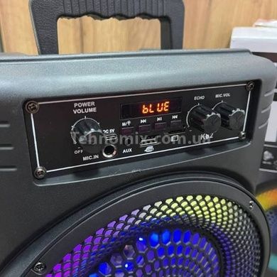 УЦІНКА! Колонка з дротовим мікрофоном і ручкою Bluetooth Wireless Speaker TTD-2807 Чорна
