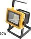 Прожектор-фонарь X-Balong LED Flood Light Outdoor 30 Вт