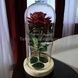 Роза в колбе с LED подсветкой МАЛЕНЬКАЯ с сердцем Красная Светлая подставка