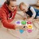 Игровой набор Вкладыши С 68279 Разноцветный