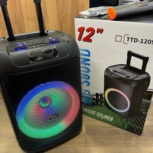 Колонка з мікрофонами, колесами та ручкою Bluetooth Wireless Speaker TTD-1209 Чорна