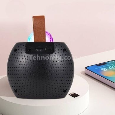 Колонка портативна з 2 караоке мікрофонами та диско-кулею Bluetooth LED Z1 Чорна