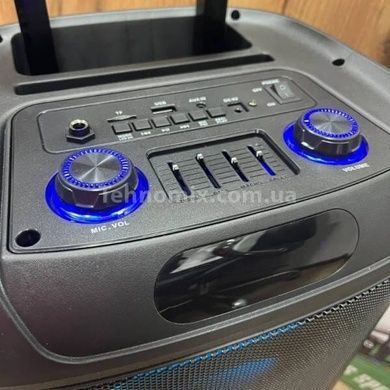 Колонка з мікрофонами, колесами та ручкою Bluetooth Wireless Speaker TTD-1209 Чорна