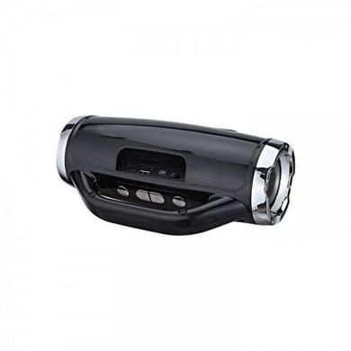 Беспроводная портативная колонка Bluetooth BLACK RX-1829 Golon