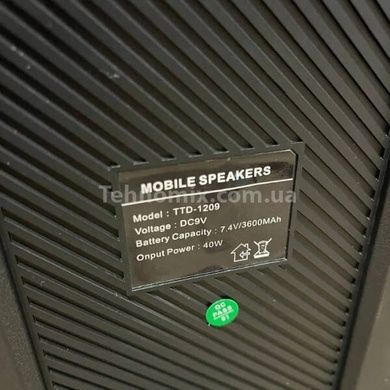 Колонка з мікрофонами, колесами та ручкою Bluetooth Wireless Speaker TTD-1209 Чорна