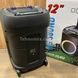 Колонка з мікрофонами, колесами та ручкою Bluetooth Wireless Speaker TTD-1209 Чорна