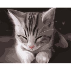 Картина по номерам Strateg ПРЕМИУМ Сонный котенок размером 40х50 см (DY191)