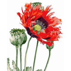 Картина по номерам Strateg ПРЕМИУМ Маковый цветок размером 40х50 см (GS070)