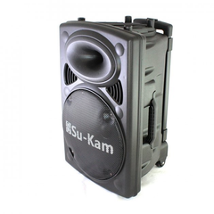 Колонка Su-Kam BT 150D + 2 микрофона 12v\220v