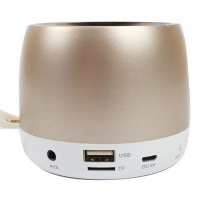 Портативна акустична Bluetooth колонка Hopestar H17 Gold