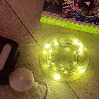 Гирлянда музыкальная 100LED USB 10м SF-3 Теплый свет