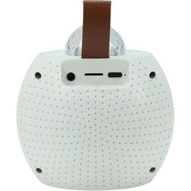 Колонка портативна з 2 караоке мікрофонами та диско-кулею Bluetooth LED Z1 Біла