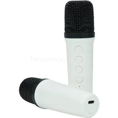 Колонка портативна з 2 караоке мікрофонами та диско-кулею Bluetooth LED Z1 Біла