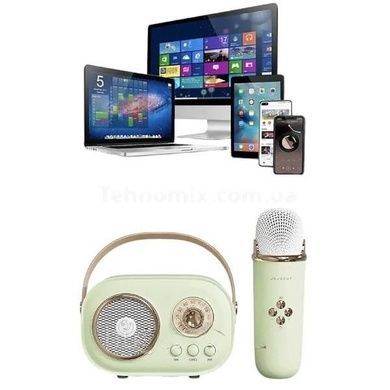Караоке з мікрофоном на акумуляторі Ретро Bluetooth Зелений