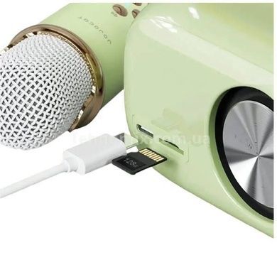 Караоке з мікрофоном на акумуляторі Ретро Bluetooth Зелений