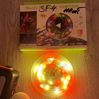 Гірлянда музична 100LED USB 10м SF-4 Мультиколор