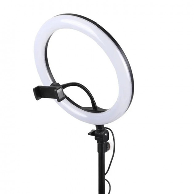 Светодиодная кольцевая лампа Ring Fill Light RL 12/CXB-300 (диаметр 30 см)