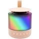 Колонка портативна з 2 караоке мікрофонами Bluetooth LED К19