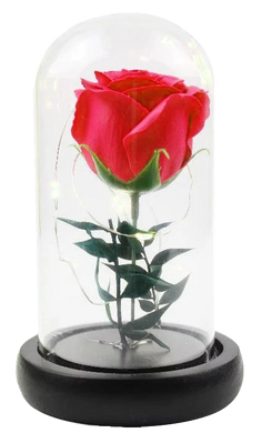 Роза в колбе с LED подсветкой МАЛЕНЬКАЯ №A51 красная