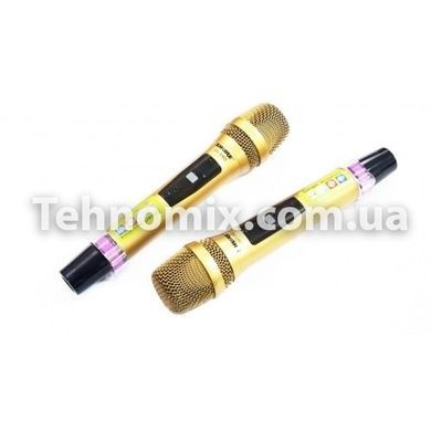 Бездротова радіосистема Shure DM UG-X9 II на 2 мікрофона
