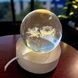 Шар акриловый Карета 6см с подсветкой на подставке