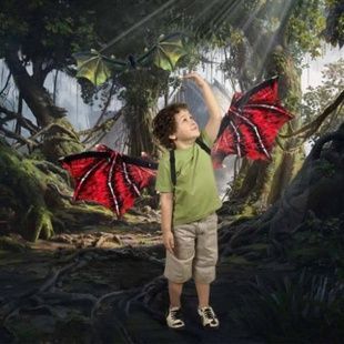 Крылья со светодиодной подсветкой и музыкой Shadow Angel Красные