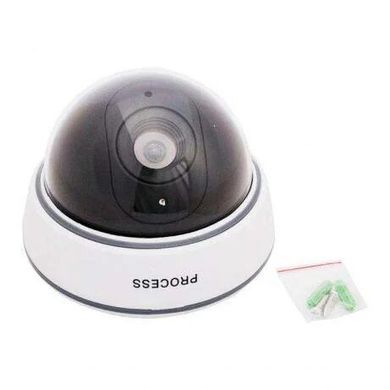 Купольная камера муляж DS-1500B