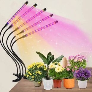 Фито лампа Led Plant Grow Leight USB 5 ламп
